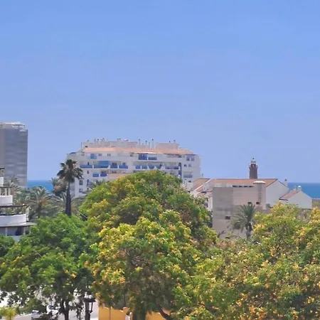 Noctua Puerto Alto 018 *