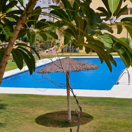 Noctua Puerto Alto 018 Естепона