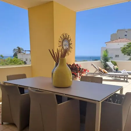 Noctua Puerto Alto 018 *